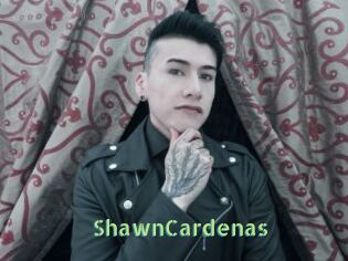 ShawnCardenas