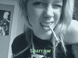 Sparrow