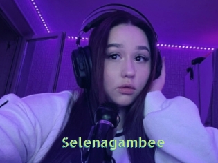 Selenagambee