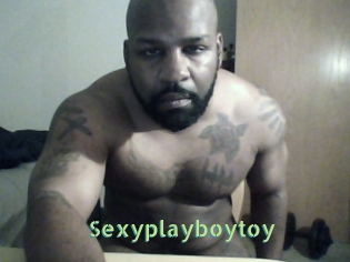 Sexyplayboytoy