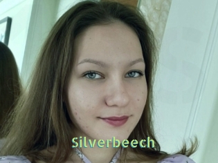 Silverbeech