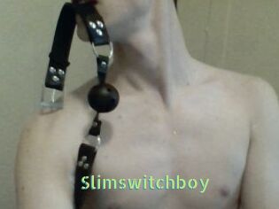 Slimswitchboy