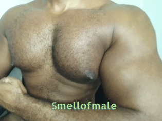 Smellofmale