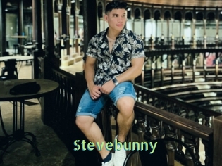 Stevebunny