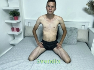 Svendix