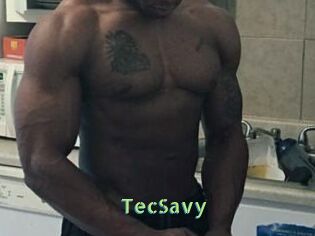 TecSavy