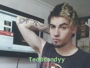 TedBunndyy