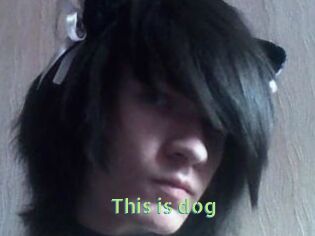 This_is_dog