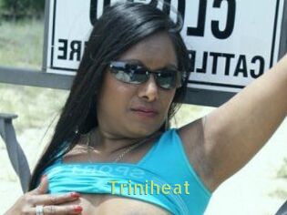 Triniheat