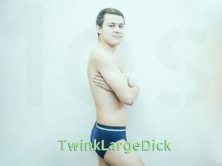 TwinkLargeDick