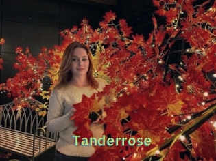 Tanderrose