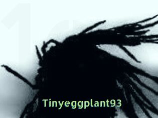 Tinyeggplant93