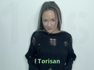 Torisan