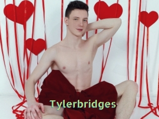 Tylerbridges