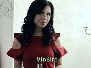 VioBird