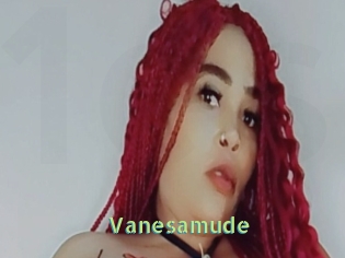 Vanesamude