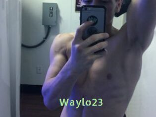 Waylo23
