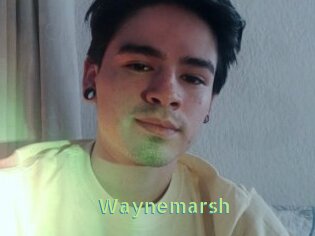 Waynemarsh