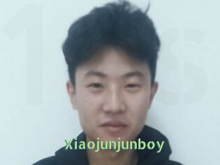 Xiaojunjunboy