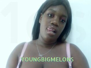 YOUNGBIGMELONS