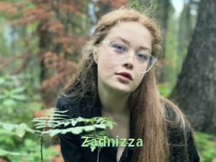 Zadnizza