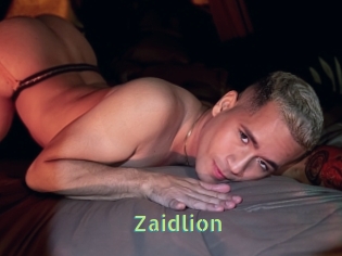 Zaidlion